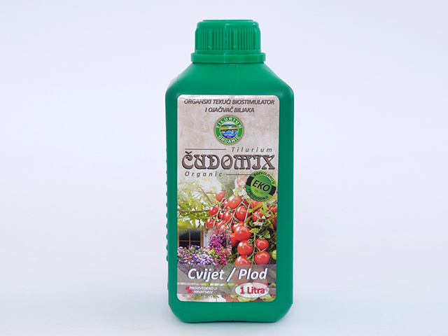 Čudomix cvijet i plod